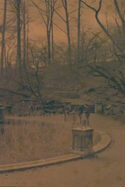 Seagull IR100 :: Color (expired) -Modern Camera Shop 40 1stop f5.6 1 30sec