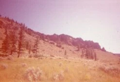 Expired Film :: Triple Packs -Modern Camera Shop 50575806818 75ae574a9a k