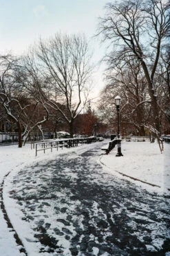 Flic Film Aurora 400 :: Color 10 Flic Film Aurora 400 :: Color -Modern Camera Shop Aurora400 BirgitBuchart 02