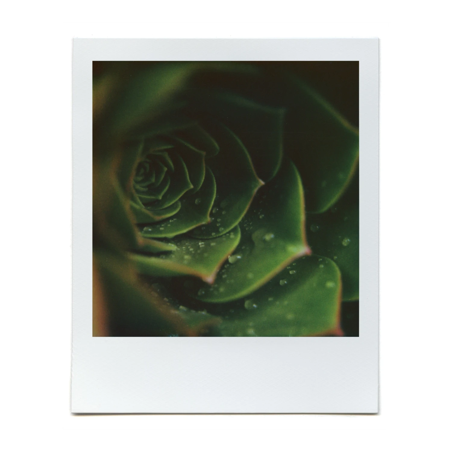 Macro Lens Set 18 Macro Lens Set - Image 16