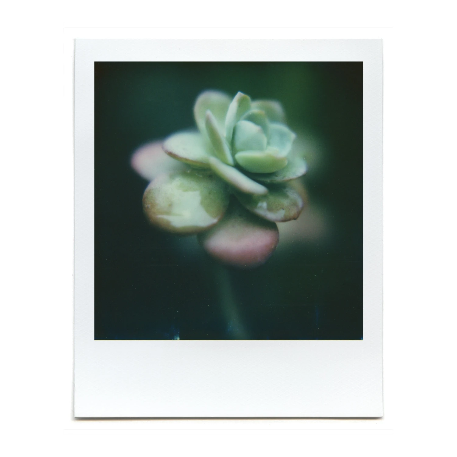 Macro Lens Set 15 Macro Lens Set - Image 13