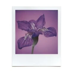 Macro Lens Set 35 Macro Lens Set -Modern Camera Shop BrendonParkerMarco3