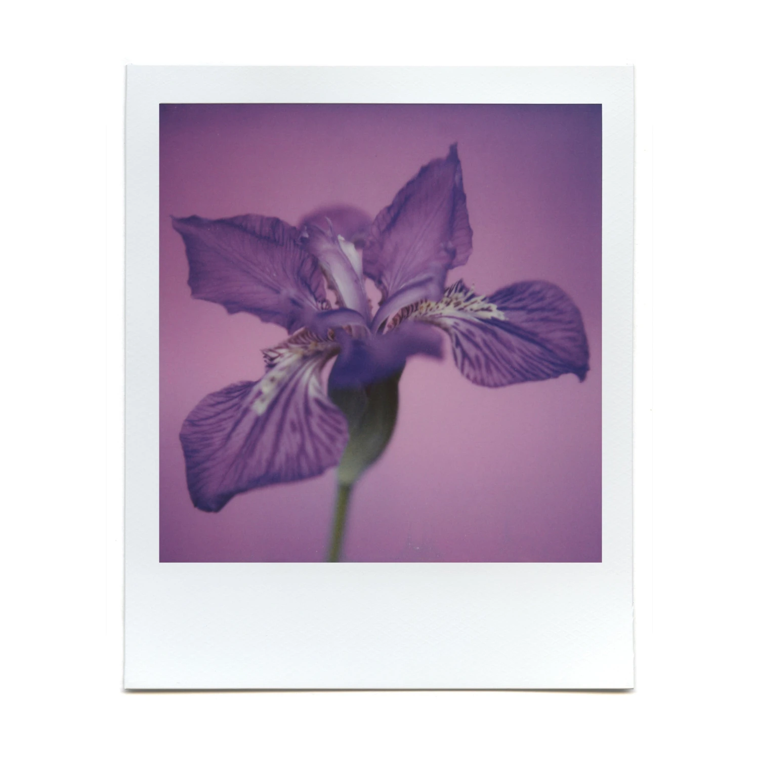 Macro Lens Set 16 Macro Lens Set - Image 14