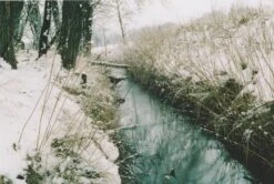 Modern Camera Shop -Modern Camera Shop C50 4