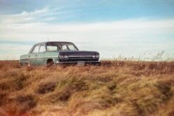 Freestyle Cinestill 50D :: Color 15 Freestyle Cinestill 50D :: Color -Modern Camera Shop C50d