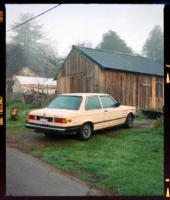 Freestyle Cinestill 50D :: Color 17 Freestyle Cinestill 50D :: Color -Modern Camera Shop CineStill 50D 120 Ben Fraternale 1