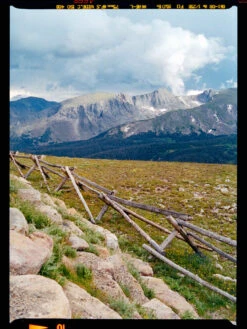 Freestyle Cinestill 400D :: Color 15 Freestyle Cinestill 400D :: Color -Modern Camera Shop Cinestill 400D 120 Ben Fraternale 5