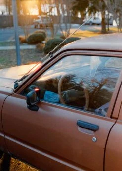 Freestyle Cinestill 800T :: Color -Modern Camera Shop Cinestill 800T 120 Ben Fraternale 3