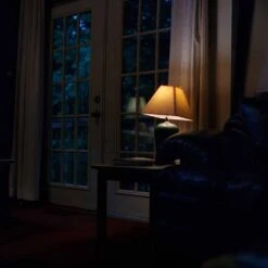 Freestyle Cinestill 800T :: Color -Modern Camera Shop Cinestill 800T 120 Shanna Hutchins 2