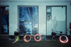 Freestyle Cinestill 800T :: Color -Modern Camera Shop Cinestill 800T 35mm Shanna Hutchins 2