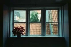 Freestyle Cinestill 800T :: Color -Modern Camera Shop Cinestill 800T 35mm Shanna Hutchins 3