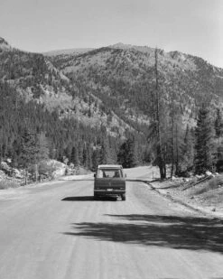 Freestyle Cinestill XX 250 :: B&W -Modern Camera Shop Cinestill B W 120 Ben Fraternale 3