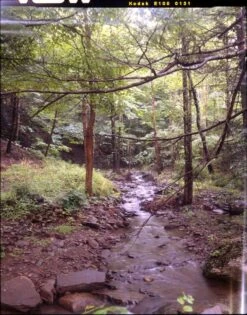 Unique Kodak E100 :: 4x5 :: Color -Modern Camera Shop Dan Hureria E100 4x5 1