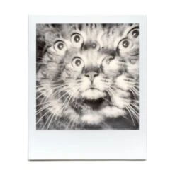 Kaleidoscope Prism 35 Kaleidoscope Prism -Modern Camera Shop DepewKaleidoscope6