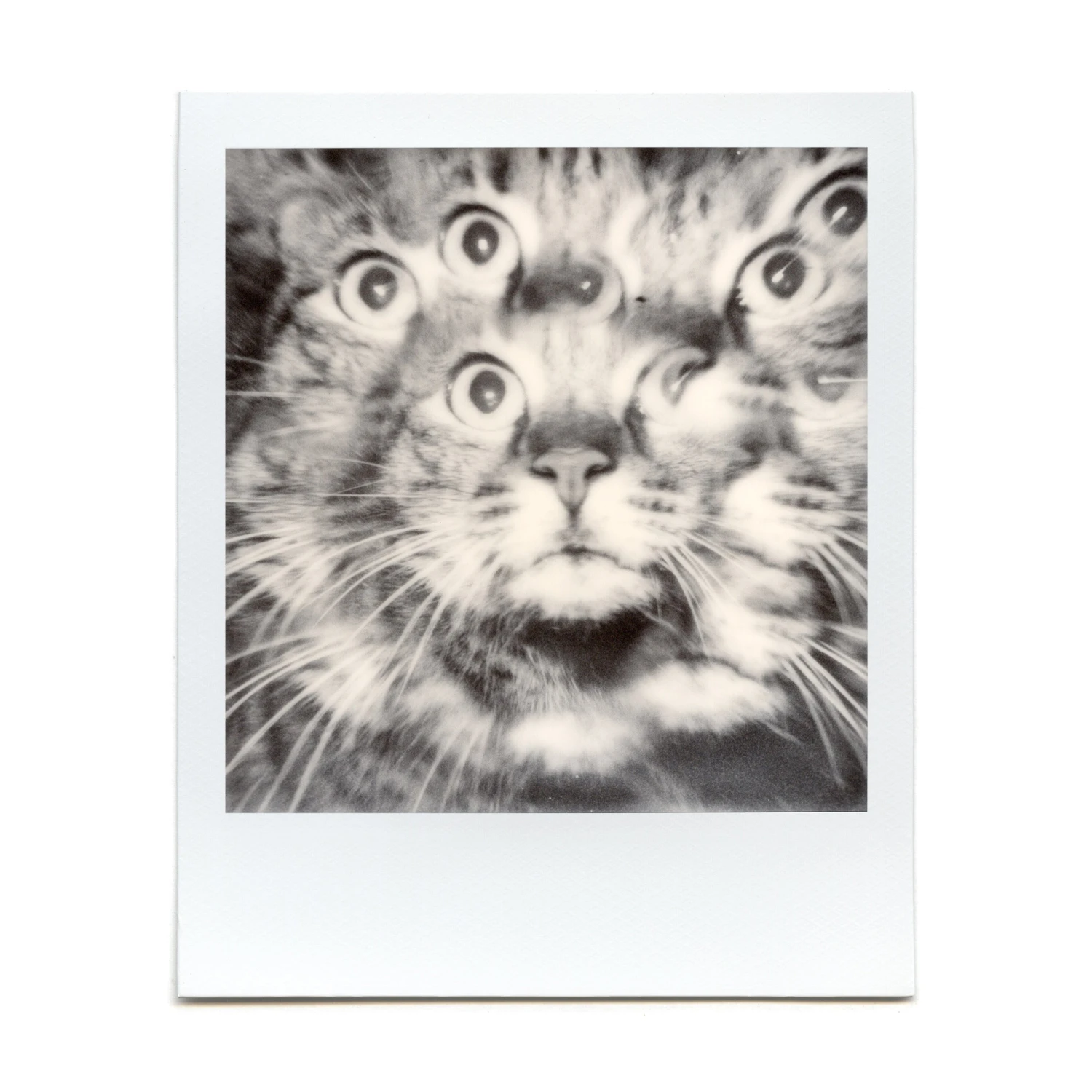 Kaleidoscope Prism 16 Kaleidoscope Prism - Image 14