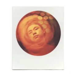 Vortex Prism -Modern Camera Shop FraternaleVortex2