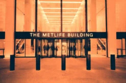 Harman Red :: Redscale -Modern Camera Shop HarmanRED BirgitBuchart 12