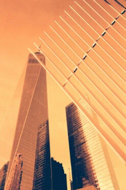 Harman Red :: Redscale -Modern Camera Shop HarmanRED BirgitBuchart 20