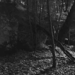 Ilford Delta 3200 :: B&W 21 Ilford Delta 3200 :: B&W -Modern Camera Shop Ilford Delta 3200 120 Shanna Hutchins 10