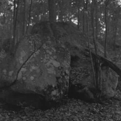 Ilford Delta 3200 :: B&W 17 Ilford Delta 3200 :: B&W -Modern Camera Shop Ilford Delta 3200 120 Shanna Hutchins 12