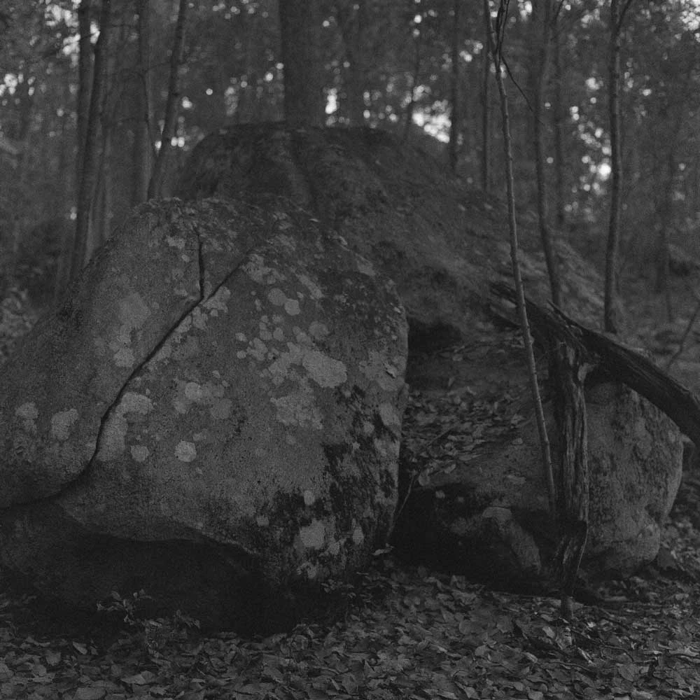 Ilford Delta 3200 :: B&W 8 Ilford Delta 3200 :: B&W - Image 6