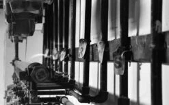 Ilford HP5 400 :: B&W -Modern Camera Shop Ilford HP5 35mm Shanna Hutchins 1