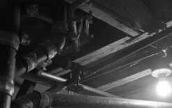 Ilford HP5 400 :: B&W -Modern Camera Shop Ilford HP5 35mm Shanna Hutchins 2