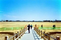 Ilford:: Color :: 35mm Single Use Camera -Modern Camera Shop Ilford SIngel Use Example 2