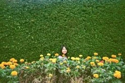 Ilford:: Color :: 35mm Single Use Camera -Modern Camera Shop Ilford SIngel Use Example 3