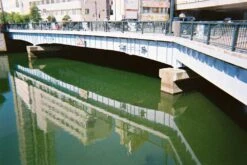 Ilford:: Color :: 35mm Single Use Camera -Modern Camera Shop Ilford SIngel Use Example 5