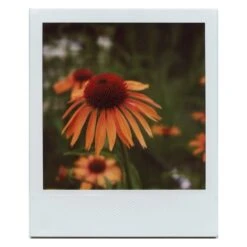 SX-70 Close-Up Lens :: Vintage Polaroid -Modern Camera Shop Image copy