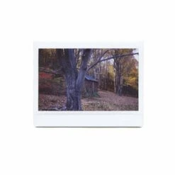 FujiFilm Instax :: Wide (twin Pack) -Modern Camera Shop Instax Wide Shanna Hutchins 02