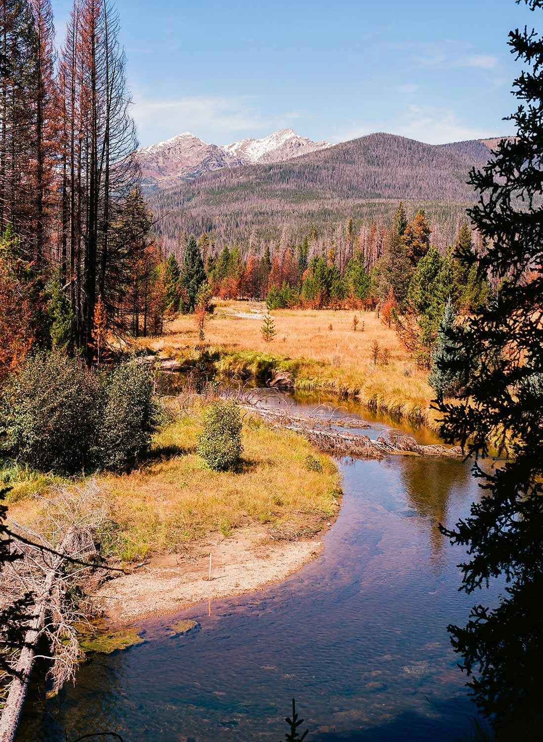 Unique Kodak Ektar 100 :: Color 10 Unique Kodak Ektar 100 :: Color - Image 8