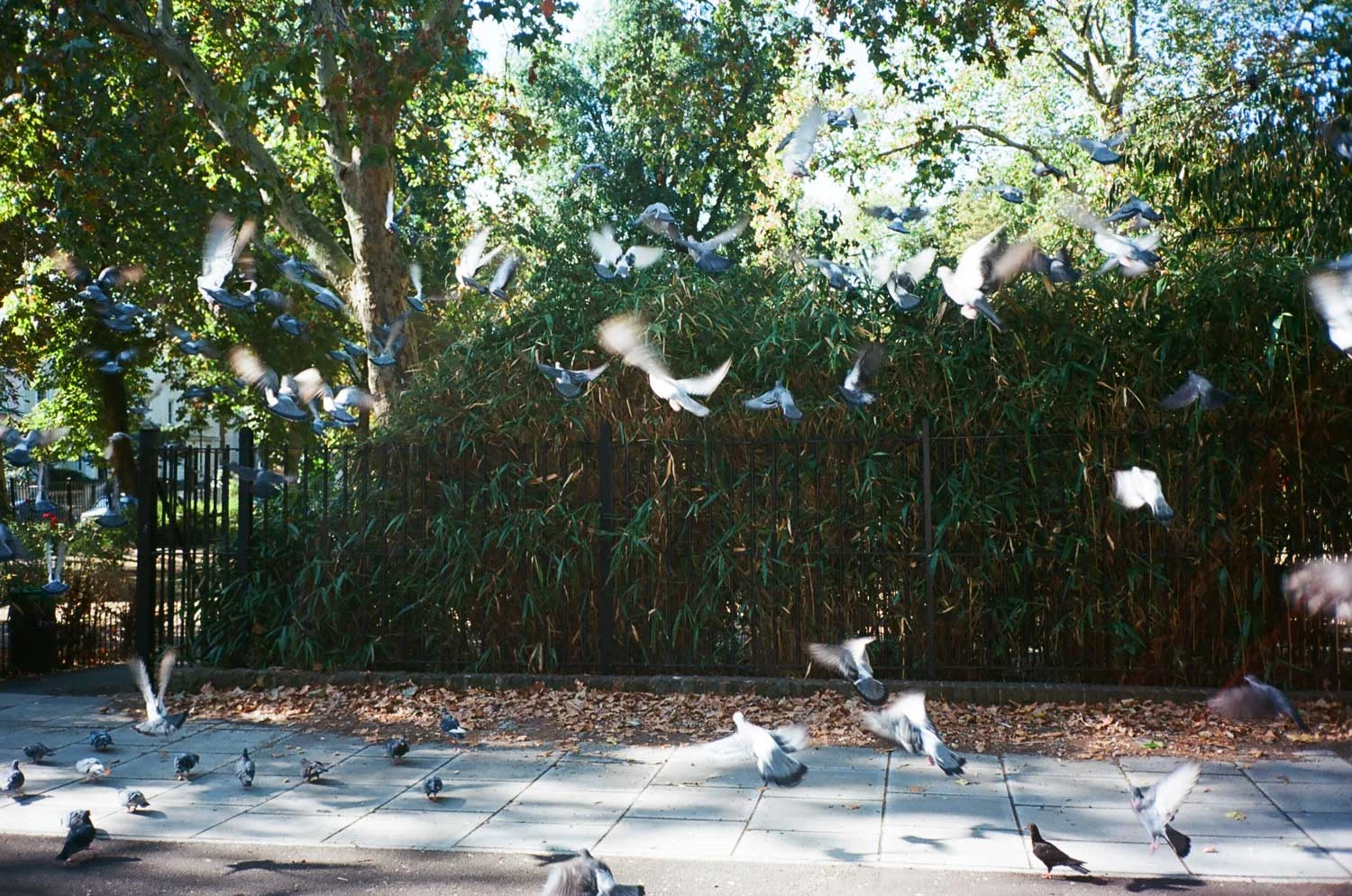 Unique Kodak Ektar 100 :: Color 4 Unique Kodak Ektar 100 :: Color - Image 2