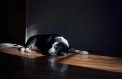 Modern Camera Shop -Modern Camera Shop Kodak UltraMax 400 35mm Shanna Hutchins 16