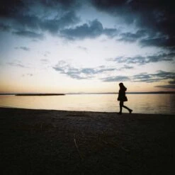 Lomography 100 :: Color -Modern Camera Shop Lomo 100 120 larissa fister