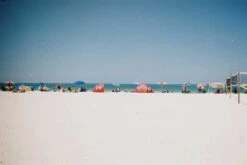 Lomography 400 :: Color -Modern Camera Shop Lomo 400 35mm Charlotte Pelleray 1