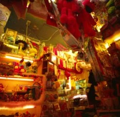 Lomography 800 :: Color -Modern Camera Shop Lomo 800 120 erina hirota