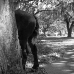 Lomography Lady Grey :: B&W -Modern Camera Shop Lomo Lady Grey 120 Shanna Hutchins 1