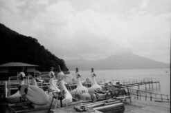 Lomography Lady Grey :: B&W -Modern Camera Shop Lomo Lady Grey 35mm erina hirota