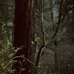 Lomochrome Metropolis 100-400 :: Color -Modern Camera Shop Lomo Metropolis 120 Shanna Hutchins 08