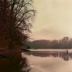 Lomochrome Purple 100-400 :: Color -Modern Camera Shop Lomo Purple 120 Shanna Hutchins 12