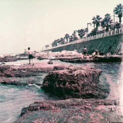 Lomochrome Purple 100-400 :: Color -Modern Camera Shop Lomo Purple 120 Tamara Saade 01