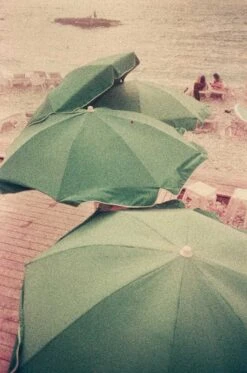 Lomochrome Purple 100-400 :: Color -Modern Camera Shop Lomo Purple 35mm Tamara Saade 04