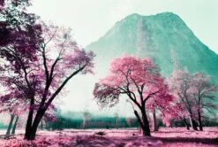 Lomography Purple :: Color -Modern Camera Shop Lomo brian lincoln purple