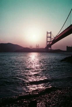 Lomography Purple :: Color -Modern Camera Shop Lomo esther hui purple