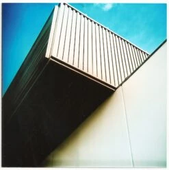 Lomo :: Lubitel 166B -Modern Camera Shop Lubitel Example 1