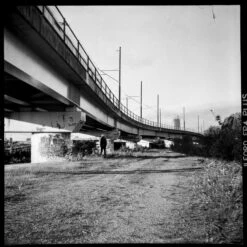 Lomo :: Lubitel 166B -Modern Camera Shop Lubitel Example 2