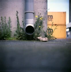 Lomo :: Lubitel 166B -Modern Camera Shop Lubitel Example 4