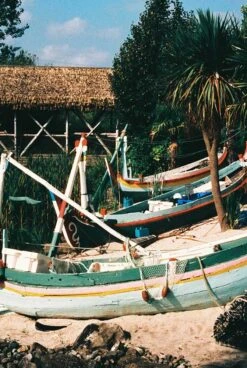 Harman Phoenix :: Color -Modern Camera Shop Phoenix 35mm Michelle Parr